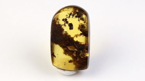 Naturbernstein poliert mit Holzfasern