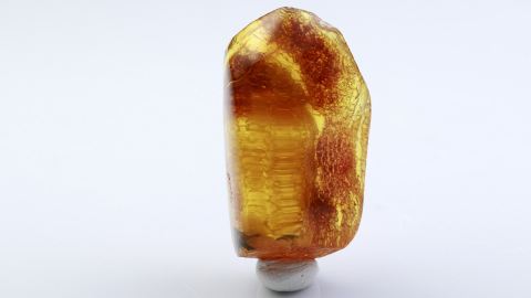 Baltischer Bernstein auf einer Seite geschliffen