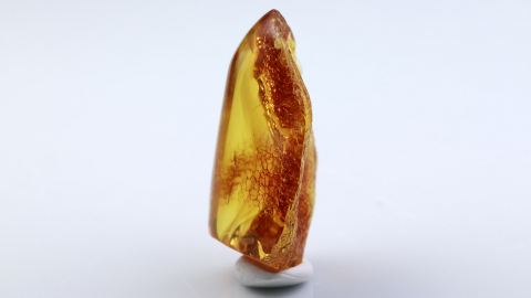 Naturbernstein auf einer Seite geschliffen und poliert