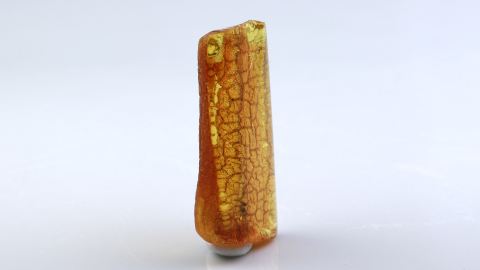 Naturbernstein geschliffen und poliert