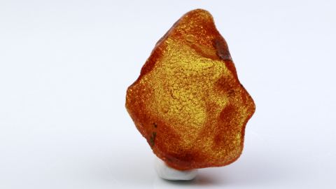 Baltischer Bernstein auf einer Seite geschliffen