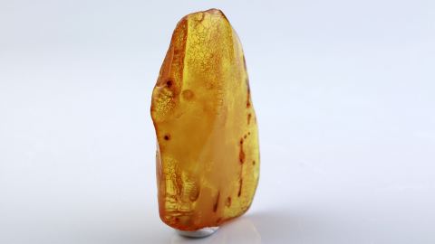 Naturbernstein geschliffen und poliert