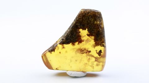 Bernstein geschliffen und poliert