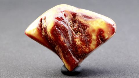 Naturbernstein geschliffen und poliert