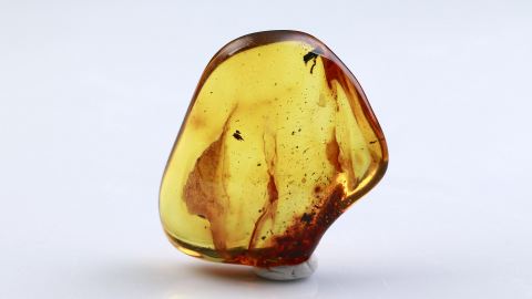 Naturbernstein geschliffen und poliert