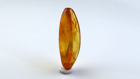 Naturbernstein geschliffen und poliert