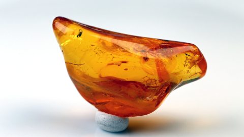 Baltischer Bernstein 12,67 Gramm