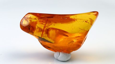 Baltischer Bernstein geschliffen und poliert