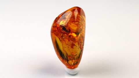 Naturbernstein geschliffen und poliert