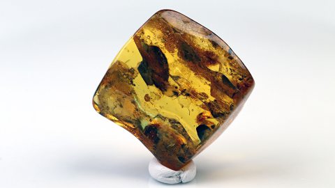 Baltischer Bernstein