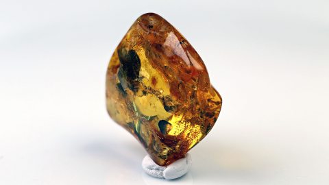 Baltischer Bernstein 11,25 Gramm