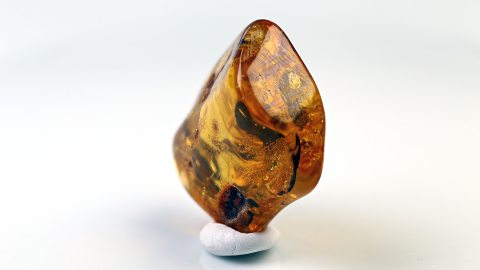 Naturbernstein geschliffen und poliert