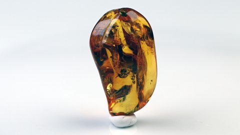 Baltischer Bernstein