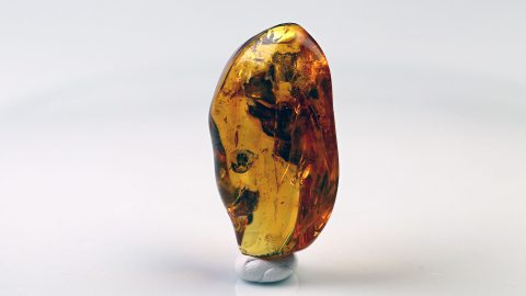 Naturbernstein geschliffen und poliert