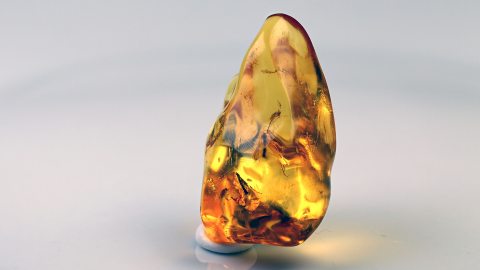 Naturbernstein geschliffen und poliert