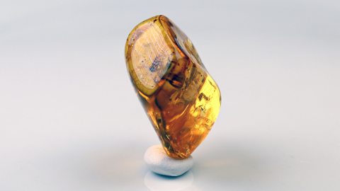 Naturbernstein geschliffen und poliert