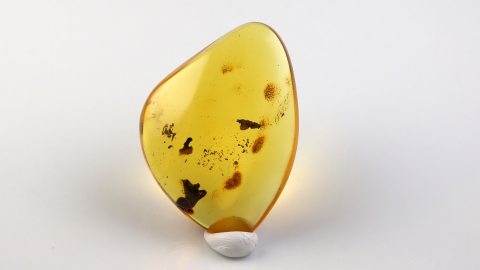 Naturbernstein von Hand geschliffen