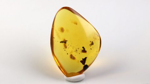 Naturbernstein poliert