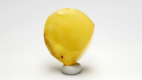 Naturbernstein von Hand geschliffen und poliert