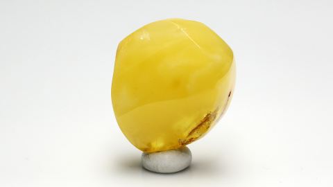 Baltischer Bernstein geschliffen und poliert