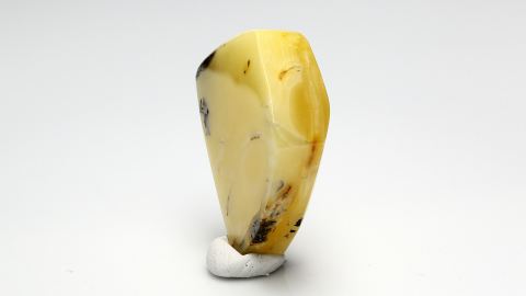 Baltischer Bernstein geschliffen und poliert