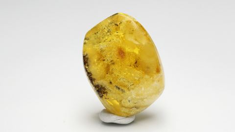 Baltischer Bernstein geschliffen und poliert