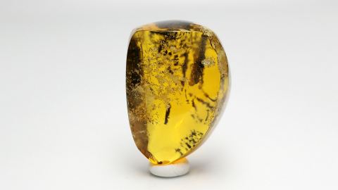 Naturbernstein von Hand geschliffen und poliert