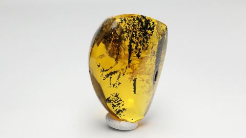 Baltischer Bernstein geschliffen und poliert