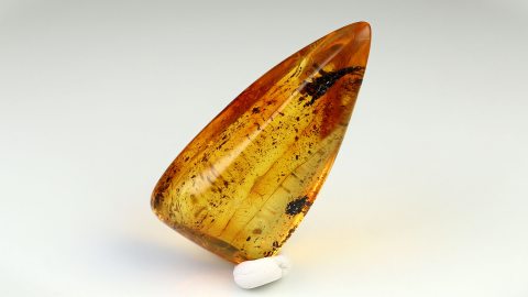 Naturbernstein von Hand geschliffen