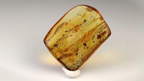 Bernstein von Hand poliert