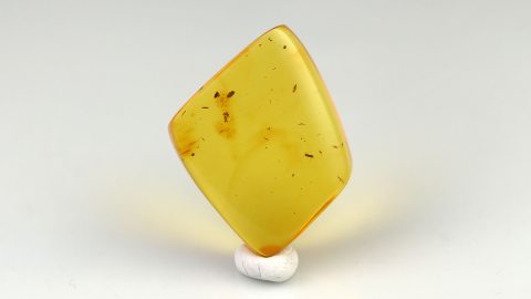 Bernstein geschliffen und poliert