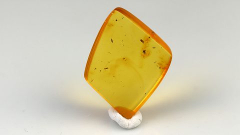 Baltischer Bernstein von Hand poliert