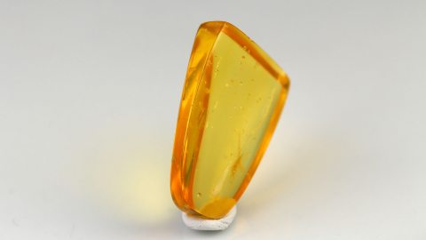 Baltischer Bernstein von Hand poliert