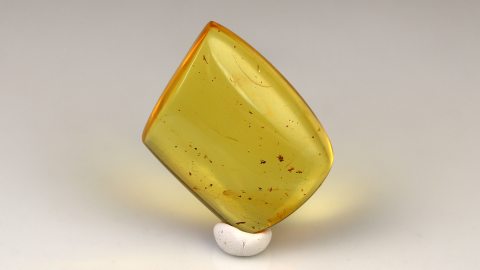 Bernstein geschliffen und poliert