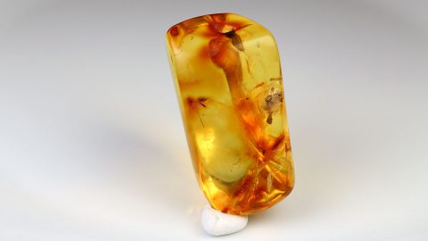 Naturbernstein von Hand geschliffen