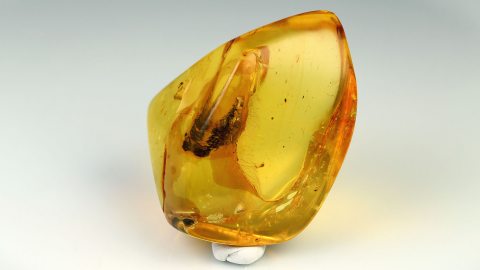 Naturbernstein geschliffen