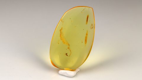 Baltischer Bernstein von Hand poliert