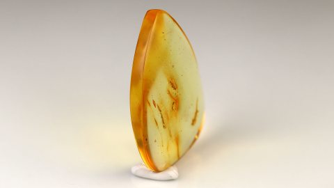 Baltischer Bernstein von Hand geschliffen