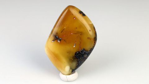 Baltischer Bernstein von Hand poliert