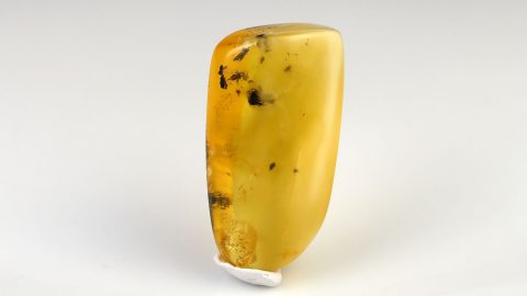 Bernstein von Hand poliert