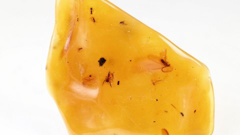 Naturbernstein mit Einschlüssen