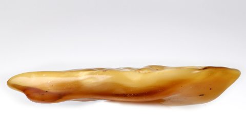 Bernstein Butterscotch