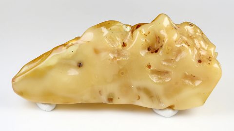 Baltischer Bernstein (Butterscotch)