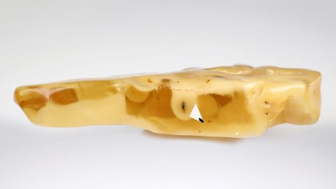  Bernstein Butterscotch