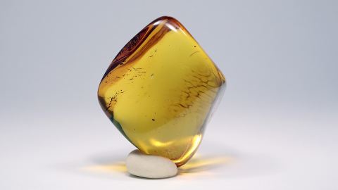 Ameise im Baltischer Bernstein