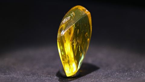 Baltischer Bernstein als Anhänger