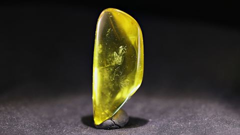 Baltischer Bernstein, Klar