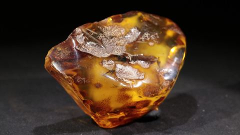 Bernstein schöne Form und Farbe