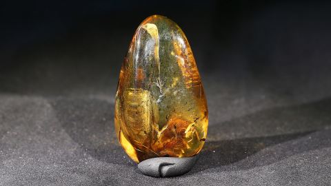 Bernstein geschliffen und poliert