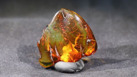 Modifizierter Bernstein